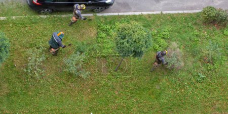 Photo for Workers mow the grass with a gasoline brushcutter in the city, top view - Royalty Free Image
