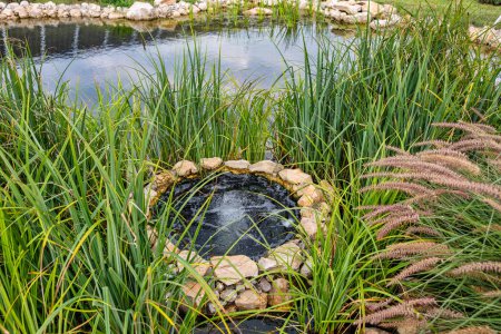 Téléchargez les photos : Paysage estival rural avec petit lac et puits d'eau libre. - en image libre de droit