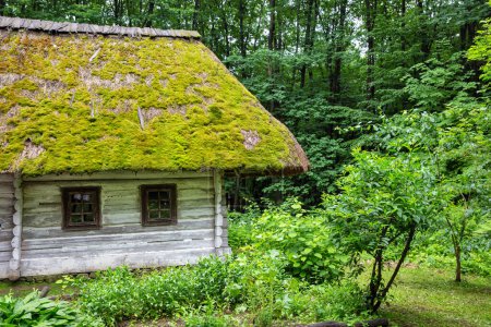 Téléchargez les photos : Maison ethnique en bois avec toit de chaume dans le Musée de l'architecture populaire et la vie de la région des Carpates à Halych, Ukraine occidentale. - en image libre de droit