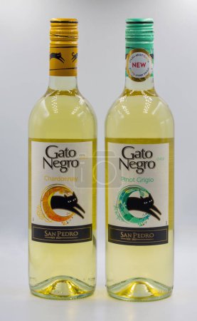 Téléchargez les photos : Kiev, Ukraine - 18 novembre 2023 : Tournage en studio de Gato Negro Pinot Grigio et Chardonnay bouteilles de vin chiliennes blanches sèches gros plan sur blanc. - en image libre de droit