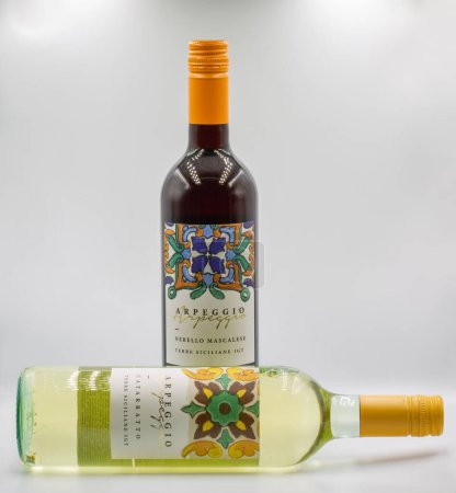 Téléchargez les photos : Kiev, Ukraine - 08 février 2023 : Tournage en studio de Arpeggio Catarratto et Nerello Mascalese Bouteilles italiennes de vin blanc sec et rouge sur fond blanc. - en image libre de droit
