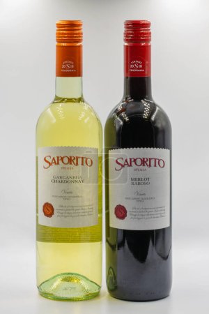 Téléchargez les photos : Kiev, Ukraine - 08 février 2023 : Tournage studio de Saporito Garganega Chardonnay et Merlot Raboso Bouteilles de vin blanc et rouge italiennes sur fond blanc. - en image libre de droit