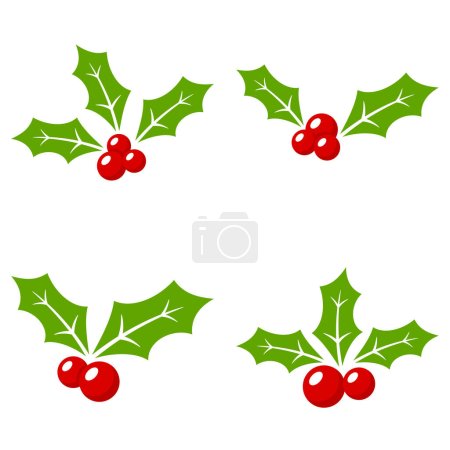 Illustration for Holly Berry isolated on white background - Royalty Free Image