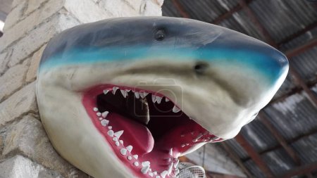 Photo for Artificial shark head at a souvenir shop - Royalty Free Image
