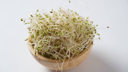 Foto de Brotes de alfalfa ecológica planta alimentos saludables en cuenco de madera - Imagen libre de derechos