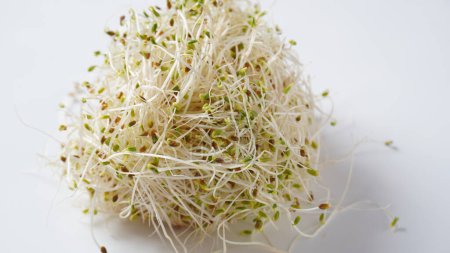 Téléchargez les photos : Organic alfalfa sprouts plant healthy food in wooden bowl - en image libre de droit