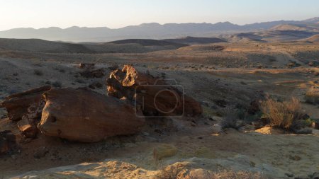 Photo for Tree trunk fossils are on the bottom of the crater Makhtesh Gadol, in the south of Israel,  Negev desert. Petrified wood is completely transitioned to stone by the process of permineralization - Royalty Free Image
