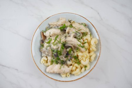 Fricassee - French Cuisine. Chicken stewed in a creamy sauce with mushrooms in a plate