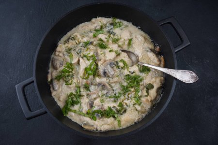 Téléchargez les photos : Fricassee - Cuisine française. Poulet cuit dans une sauce crémeuse aux champignons dans une casserole - en image libre de droit