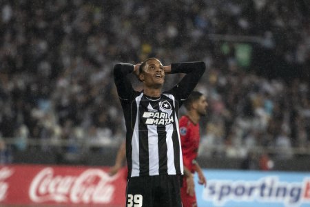 Téléchargez les photos : Rio de Janeiro (RJ), 07.19.2023 - Janderson do Botafogo. Match entre Botafogo RJ x Patronato (ARG) pour Sul-Americana au Nilton Santos. - en image libre de droit