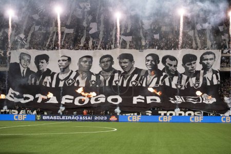 Photo for Rio de Janeiro, Rio de Janeiro, Brazil - November 01, 2023. Botafogo x Palmeiras. Brazilian championship at the Nilton Santos stadium. - Royalty Free Image