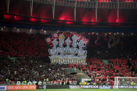 Téléchargez les photos : Rio de Janeiro, Rio de Janeiro, Brésil - 11 novembre 2023. Flamengo x Fluminense. Campeonato Brasileiro. - en image libre de droit