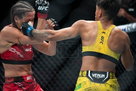 Photo for Rio de Janeiro (RJ), 04/05/2024 - UFC 301 - PANTOJA VS ERCEG - Fight between Kowalkiewicz x Lucindo at Farmasi Arena. - Royalty Free Image
