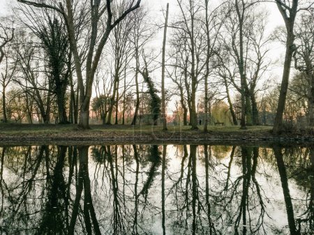Oker river in Braunschweig. Beautiful reflection of trees at sunset