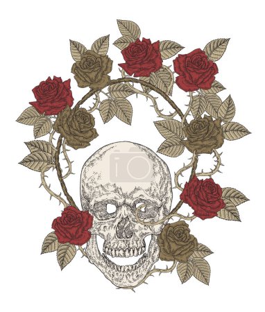 Illustration for Human skull with red roses. T-shirt graphic design. Vector illustration vintage. - Royalty Free Image