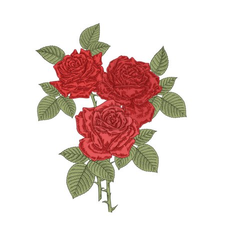 Photo for Red roses flowers. Bouquet of three rose isolated on white background. Vector illustration engraved. - Royalty Free Image