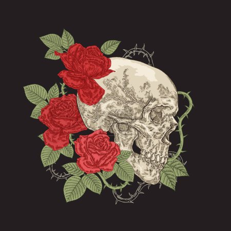 Ilustración de Calavera humana con flores de rosas rojas. Ilustración vectorial sobre fondo negro. Grabado vintage. - Imagen libre de derechos