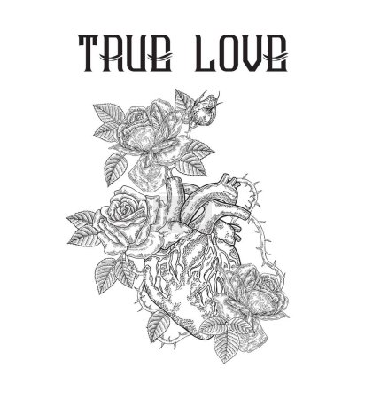 Illustration for Human heart and roses. True Love slogan. Vector illustration hand drawn. Gift card or t-shirt design. Vintage engraving. - Royalty Free Image