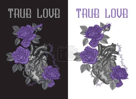 Illustration for Heart and roses. True Love slogan. Vector illustration og human heart with growing flowers. Print poster t-shirt design. Hand drawn vintage style. - Royalty Free Image