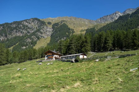 Photo for A mountain hut in Val di Pejo, Trentino - Royalty Free Image