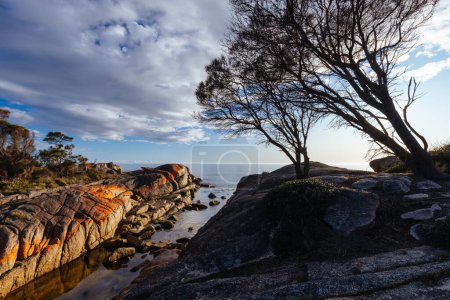 Téléchargez les photos : Le lichen emblématique recouvre les rochers et l'eau de mer turquoise dans la baie des Feux à travers Cosy Corner près de Binalong Bay, en Tasmanie, en Australie - en image libre de droit