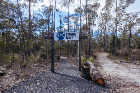 Photo for ST HELENS AUSTRALIA - SEPTEMBER 19, 2022: The Ansons Bay Rd trailhead as part of the Bay of Fires Trail in springtime in St Helens, Tasmania, Australia - Royalty Free Image