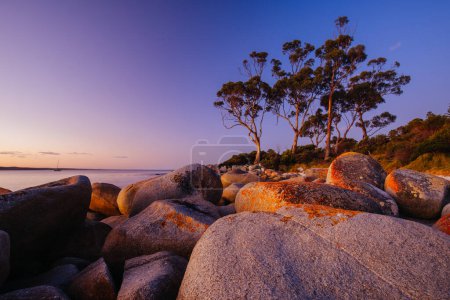 Foto de El liquen cubría rocas al atardecer en la Bahía de los Fuegos en Binalong Bay, Australia - Imagen libre de derechos