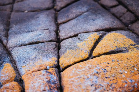 Téléchargez les photos : Détail des roches emblématiques recouvertes de lichen dans la baie des Feux à Binalong Bay, Tasmanie, Australie - en image libre de droit