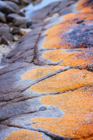 Téléchargez les photos : Détail des roches emblématiques recouvertes de lichen dans la baie des Feux à Binalong Bay, Tasmanie, Australie - en image libre de droit