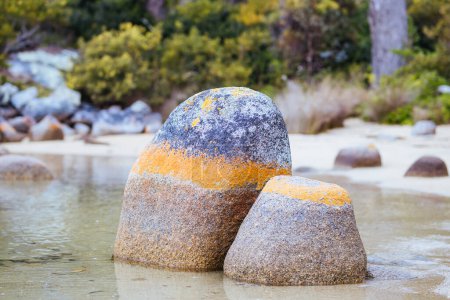 Foto de Detalle de las icónicas rocas cubiertas de líquenes en la Bahía de los Fuegos en Binalong Bay, Tasmania, Australia - Imagen libre de derechos