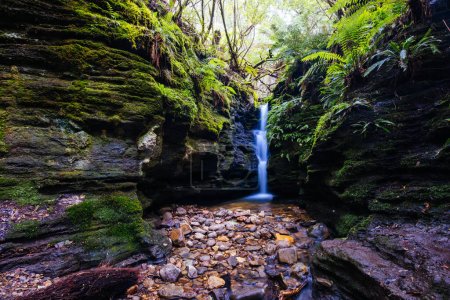 Téléchargez les photos : Les belles chutes secrètes situées sur les pentes du mont Wellington près de Myrtle Gully Falls par une chaude journée de printemps à Hobart, Tasmanie, Australie - en image libre de droit