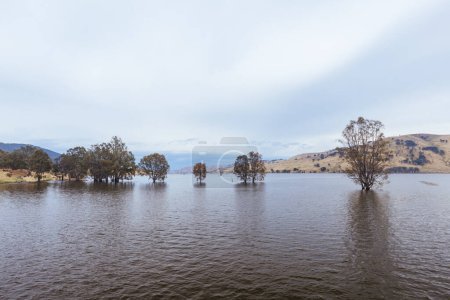Téléchargez les photos : The view from Mitta Valley Lookout of flooded water around Tallangatta Rail Bridge and Lake Hume in Victoria, Australia - en image libre de droit
