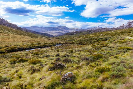 Photo for A landscape view in the late afternoon on the Cascade Hut Trail near Dead Horse Gap and Thredo in Kosciuszko National Park, New South Wales, Australia - Royalty Free Image