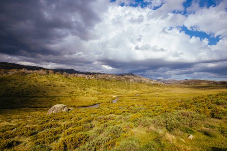 Photo for A landscape view in the late afternoon on the Cascade Hut Trail near Dead Horse Gap and Thredo in Kosciuszko National Park, New South Wales, Australia - Royalty Free Image
