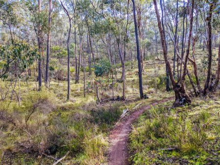 Ein warmer Tag auf Mountainbike-Strecken in der Nähe von Castlemaine in Victoria, Australien