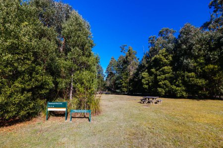 Foto de Blackwood Picnic Área y Mount Sugarloaf Ridge Track cerca de Mason Falls en el Parque Nacional Kinglake en un fresco día de otoño en Melbourne, Victoria, Australia - Imagen libre de derechos