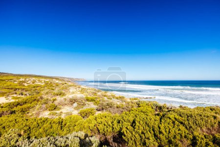 Photo for Gunnamatta Ocean Beach as part of the Mornington Peninsula Coastal Walk on a warm winters day between St Andrews Beach and Fingal Beach in Victoria, Australia - Royalty Free Image