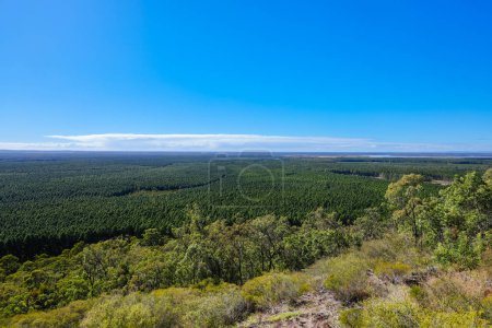 Photo for A view across the Glass House Mountains National Park from Wild Horse Mountain lookout on a clear sunny day near Brisbane, Queensland, Australia - Royalty Free Image