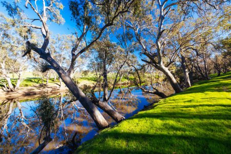 Téléchargez les photos : Paysage fluvial sur la rivière Campaspe tôt le matin du printemps près d'Axedale à Victoria, Australie. - en image libre de droit