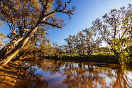 Téléchargez les photos : Paysage fluvial sur la rivière Campaspe par un après-midi ensoleillé de printemps près d'Axedale à Victoria, Australie. - en image libre de droit