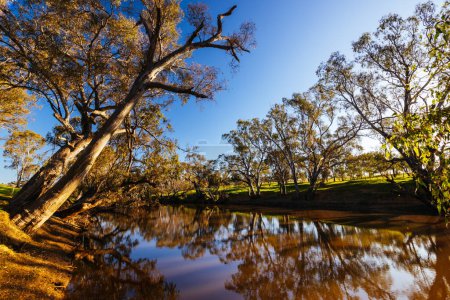 Téléchargez les photos : Paysage fluvial sur la rivière Campaspe par un après-midi ensoleillé de printemps près d'Axedale à Victoria, Australie. - en image libre de droit