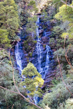 Foto de Wombelano Falls en el Parque Nacional Kinglake en un fresco día de primavera en Melbourne, Victoria, Australia - Imagen libre de derechos