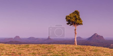 Photo for A view across the Glass House Mountains National Park from One Tree Hill Lookout on Mountain View Rd on a clear sunny day near Maleny, Queensland, Australia - Royalty Free Image