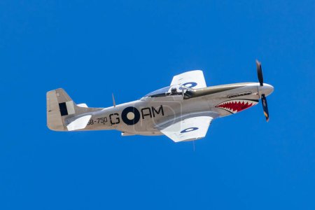 Photo for RAAF P51 Mustang VH-SVU A68-750 doing a demonstration in Geelong, Australia for Australia day on January 26th, 2024 - Royalty Free Image