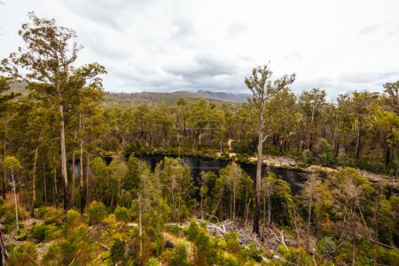 Tahune Airwalk-Landschaft um den Huon River an einem bewölkten Sommertag im Huon Valley, Tasmanien, Australien