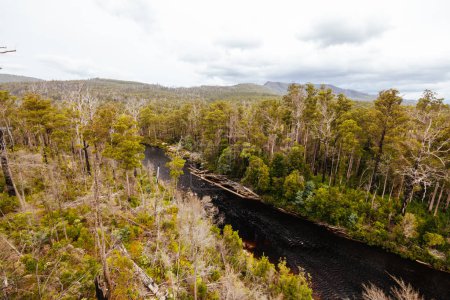 Tahune Airwalk-Landschaft um den Huon River an einem bewölkten Sommertag im Huon Valley, Tasmanien, Australien