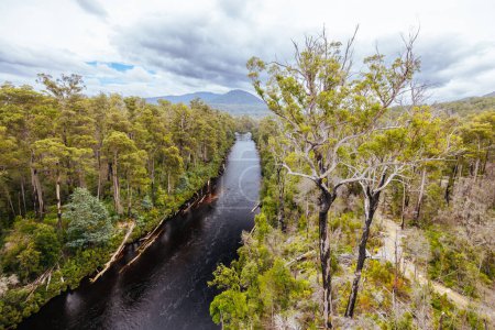 Paisaje de Tahune Airwalk alrededor del río Huon en un día nublado de verano en Huon Valley, Tasmania, Australia