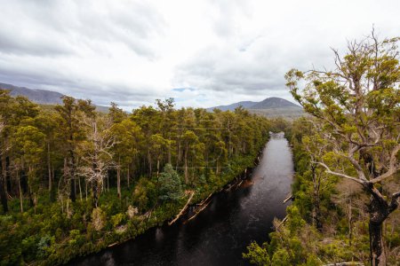 Paisaje de Tahune Airwalk alrededor del río Huon en un día nublado de verano en Huon Valley, Tasmania, Australia