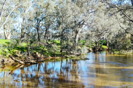 Flusslandschaft am Campaspe River am Nachmittag in der Nähe von Axedale in Victoria, Australien.