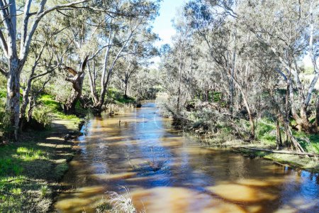 Flusslandschaft am Campaspe River am Nachmittag in der Nähe von Axedale in Victoria, Australien.